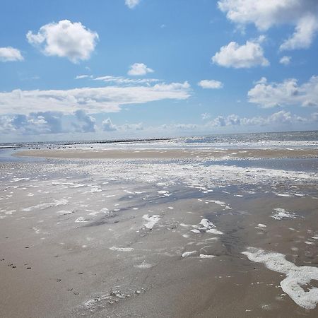Romantisch Huisje Nabij Het Strand Met Uitzicht Op De Tulpenvelden Julianadorp Luaran gambar