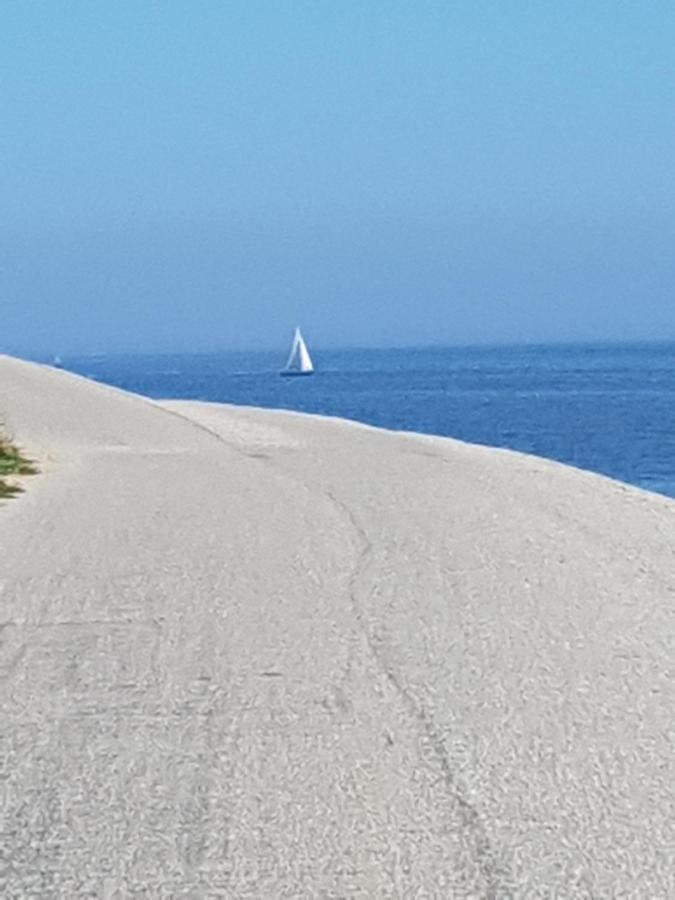 Romantisch Huisje Nabij Het Strand Met Uitzicht Op De Tulpenvelden Julianadorp Luaran gambar