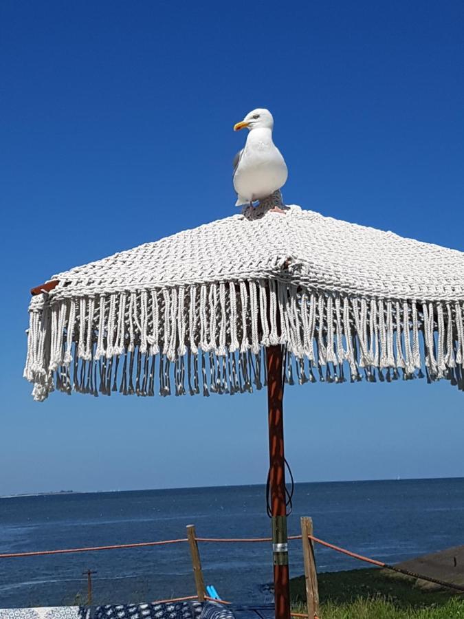 Romantisch Huisje Nabij Het Strand Met Uitzicht Op De Tulpenvelden Julianadorp Luaran gambar
