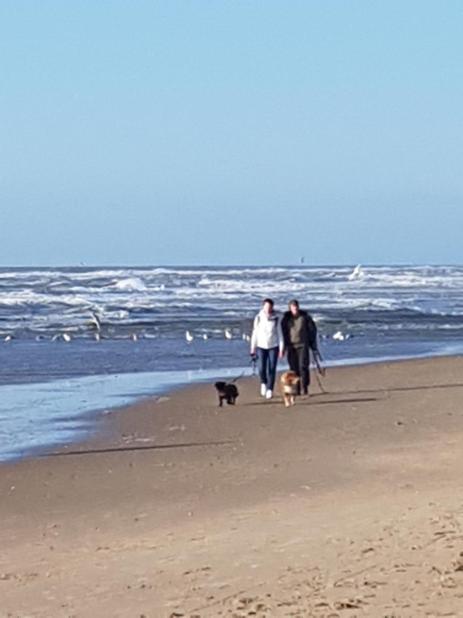 Romantisch Huisje Nabij Het Strand Met Uitzicht Op De Tulpenvelden Julianadorp Luaran gambar