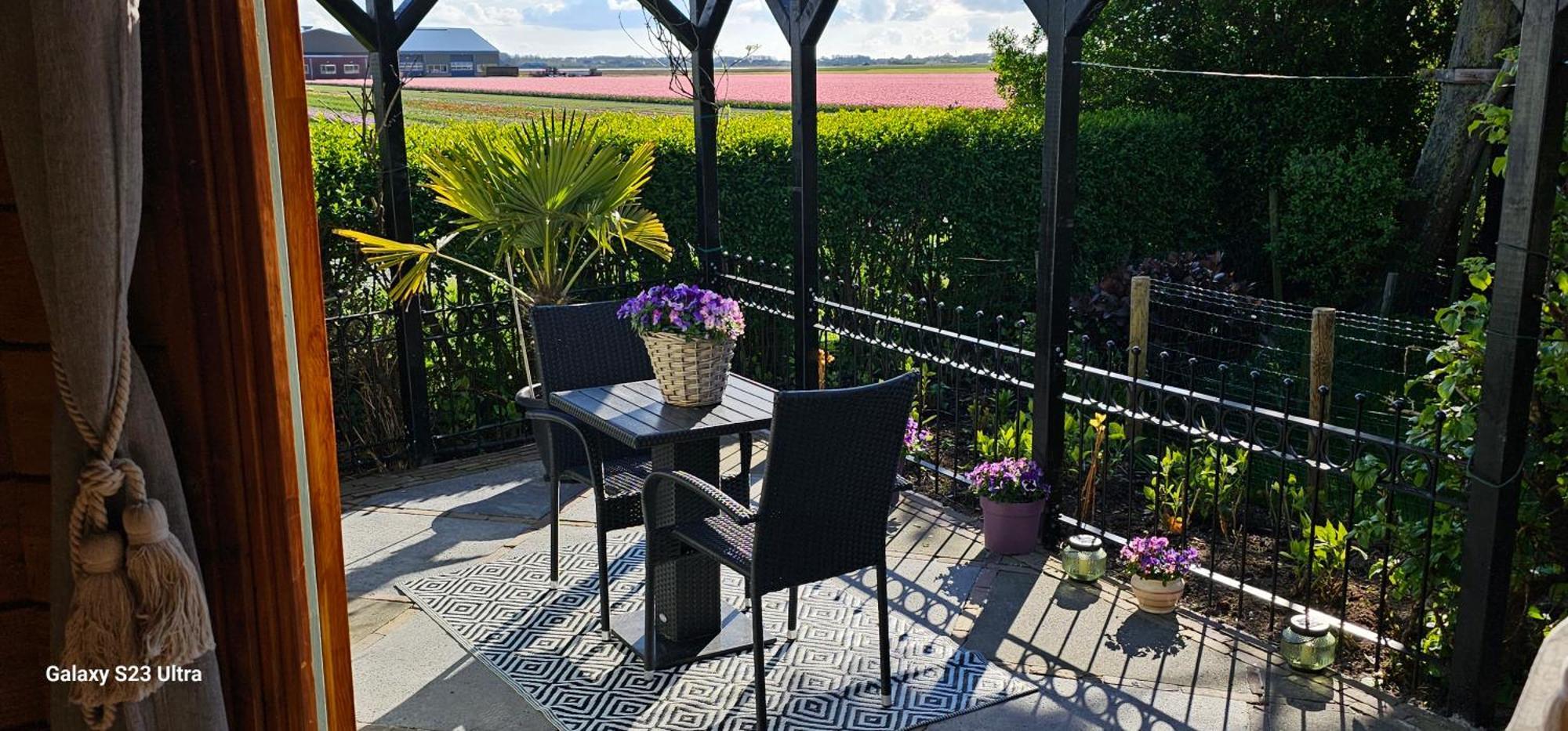 Romantisch Huisje Nabij Het Strand Met Uitzicht Op De Tulpenvelden Julianadorp Luaran gambar