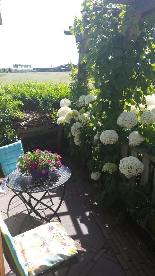 Romantisch Huisje Nabij Het Strand Met Uitzicht Op De Tulpenvelden Julianadorp Luaran gambar