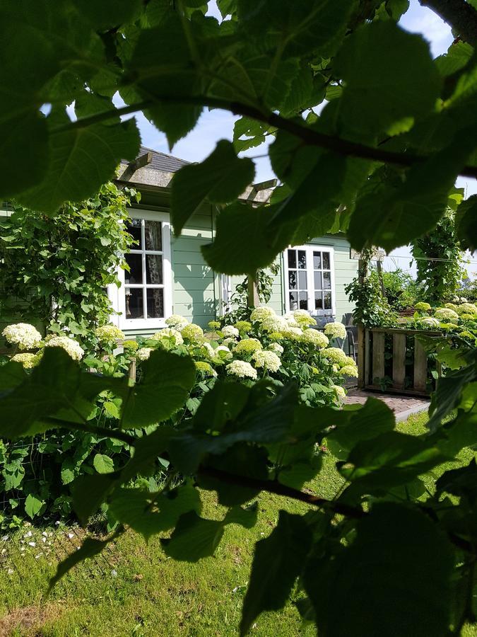 Romantisch Huisje Nabij Het Strand Met Uitzicht Op De Tulpenvelden Julianadorp Luaran gambar